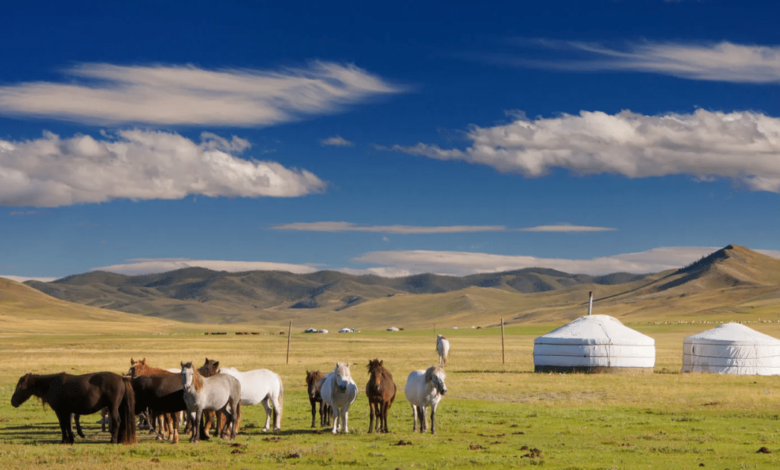 Desde las vastas estepas hasta el desierto del Gobi, el país ofrece a los visitantes la oportunidad de convivir con familias nómadas y conocer un estilo de vida que se mantiene prácticamente intacto desde hace siglos.
