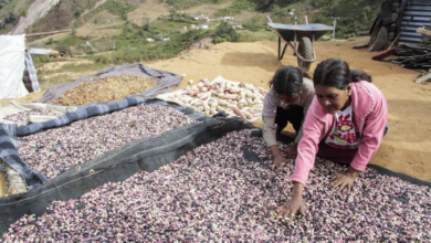 ¿Cuánto debes ganar para no ser pobre en México en 2025?