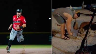 Beisbolista de Piratas de Campeche alimenta a perros callejeros