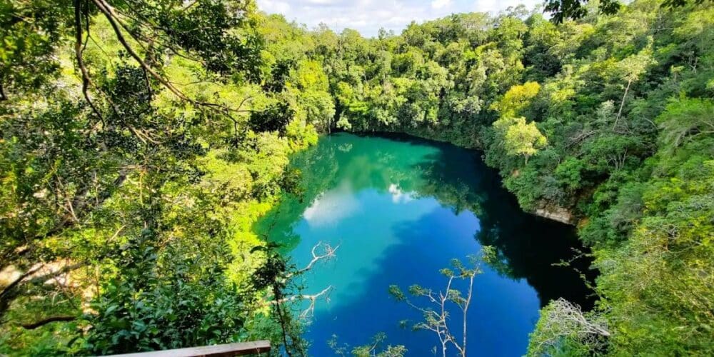 Cenote Miguel Colorado Secreto en lo más profundo de Campeche
