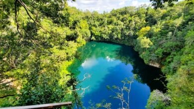 Cenote Miguel Colorado Secreto en lo más profundo de Campeche