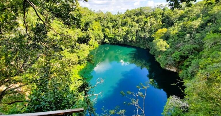 Cenote Miguel Colorado Secreto en lo más profundo de Campeche