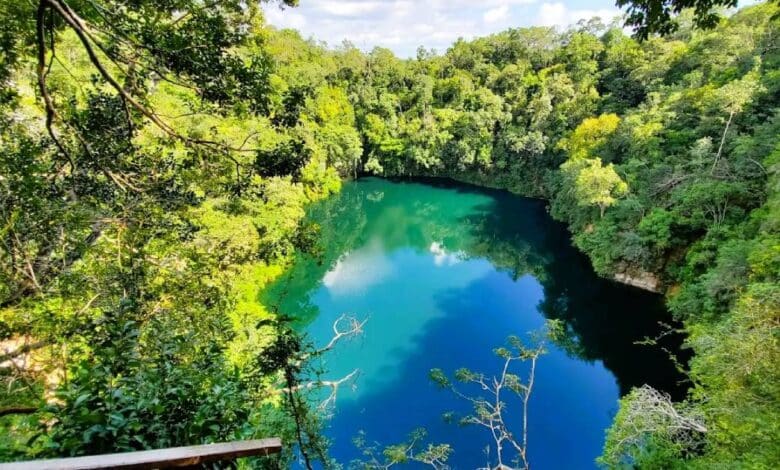 Cenote Miguel Colorado Secreto en lo más profundo de Campeche