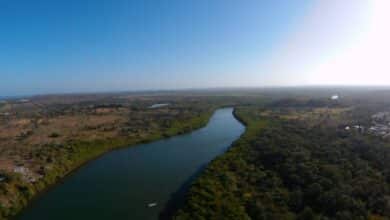 Día Mundial de los Ríos: Cinco recorren el bello estado de Campeche