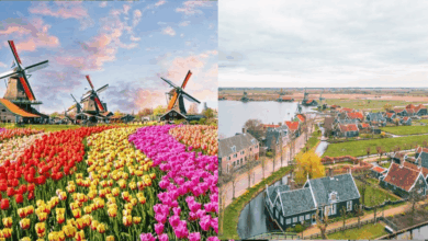 Donde la historia y el futuro se encuentran El modelo de turismo sustentable de Zaanse Schans