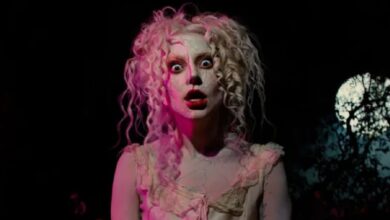 Lady Gaga cancela concierto luego de su video en La Isla de las Muñecas (Foto de internet)