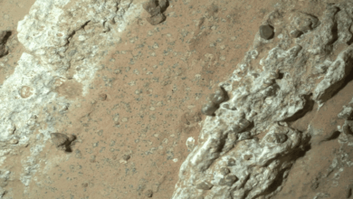 Marte y la posible evidencia de vida la NASA identifica señales prometedoras en roca del Perseverance