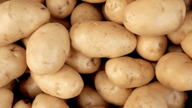 Pastel de papa cuatro recetas para reinventar un clásico argentino