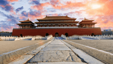 Los palacios de China, como la Ciudad Prohibida en Pekín o el Palacio de Verano, son testigos de dinastías milenarias, símbolos de poder y refinamiento arquitectónico.