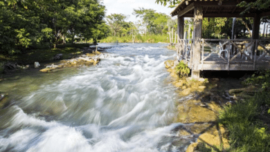 Salto Grande el parque ecológico que debes visitar en Candelaria, Campeche