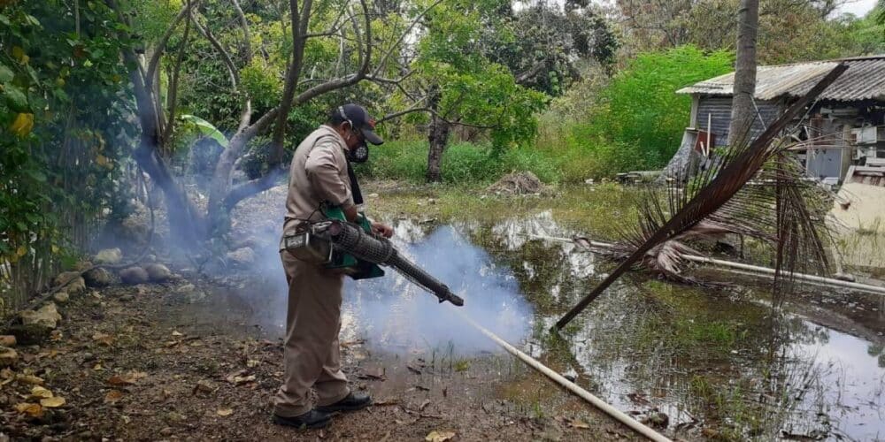 Sigue la lucha en Campeche para combatir el dengue