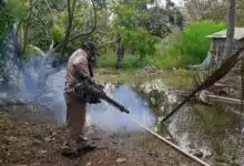 Sigue la lucha en Campeche para combatir el dengue