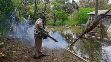 Sigue la lucha en Campeche para combatir el dengue