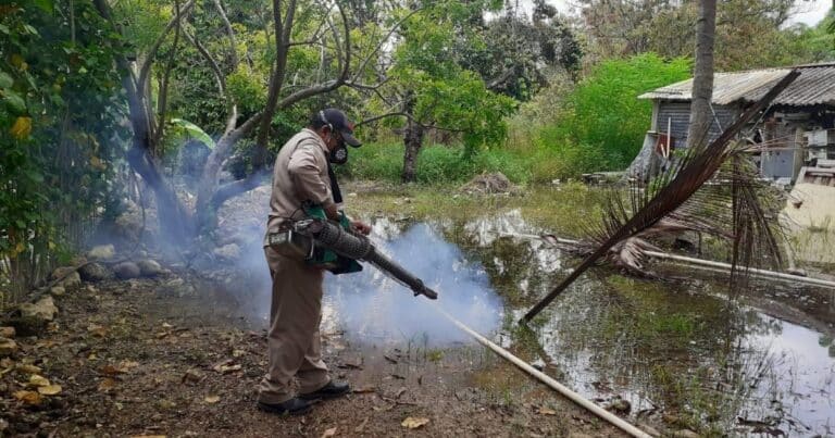 Sigue la lucha en Campeche para combatir el dengue