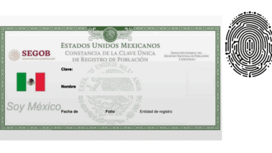Trámite de la CURP biométrica en Campeche: pasos y beneficios