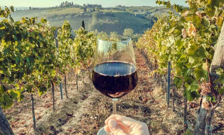 Viñedos en Chile Una ruta del vino desde América del Sur