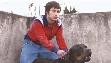 Amores perros celebra 25 años con función en Bellas Artes (Foto de internet)