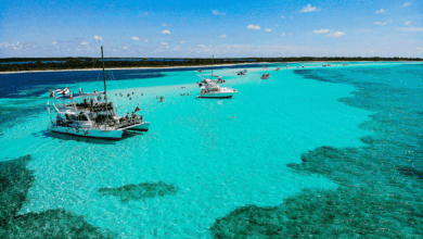 Un refugio natural para la fauna y el turismo consciente
