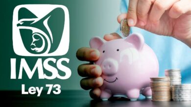Ley 73 del IMSS: ¿Cuáles son los beneficios de este régimen? (Foto de internet)