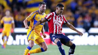 Tigres jugará contra Chivas sin André-Pierre Gignac ¿Dónde verlo? (Foto de internet)