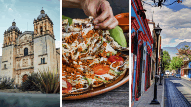 Con su riqueza histórica, sus sabores únicos y paisajes que van desde montañas hasta playas, Oaxaca se consolida como uno de los destinos imperdibles para viajeros nacionales e internacionales.