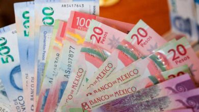 Aseguradoras deben pagar adeudos correspondientes SHCP