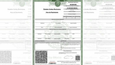Así puedes descargar tu acta de nacimiento en línea