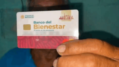 Bienestar 2025 Todos los apoyos disponibles para las familias campechanas