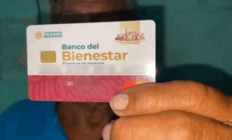 Bienestar 2025 Todos los apoyos disponibles para las familias campechanas