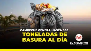 Campeche genera hasta 300 toneladas de basuras al día