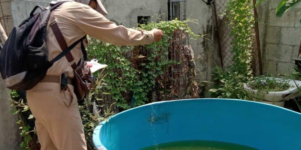 Campeche intensifica combate al dengue con control larvario
