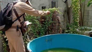 Campeche intensifica combate al dengue con control larvario