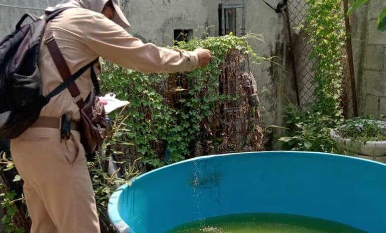 Campeche intensifica combate al dengue con control larvario