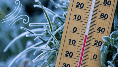 Campeche se prepara para la llegada de la heladez