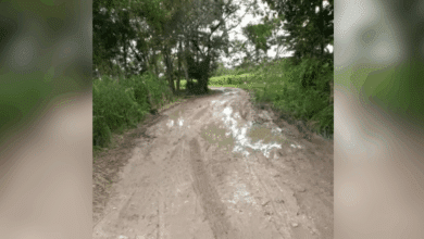 Campesinos de Jobal denuncian caminos intransitables por lluvias en Sabancuy