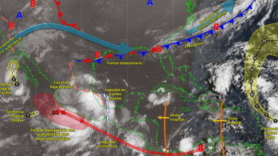 Este día, la tormenta tropical Priscilla continuará su desplazamiento paralelo a la costa occidental de Baja California Sur, por lo que su circulación y bandas nubosas mantendrán vientos y lluvias fuertes, además de oleaje elevado en dicha región.