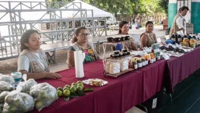 Ecoferia Balam Beh 2025 ¡Cambia tus latas y botellas por productos ecológicos en Campeche!