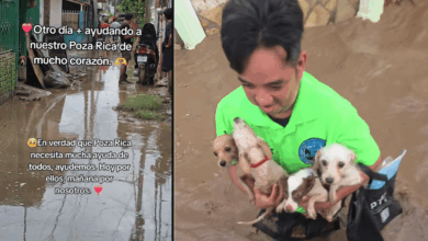El ángel guardián de Poza Rica El joven que se hizo viral en TikTok por rescatar abuelitos y perritos de las inundaciones