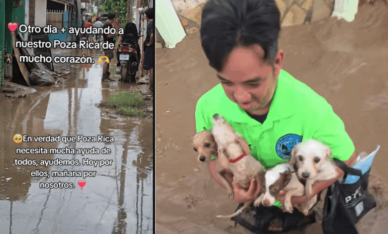 El ángel guardián de Poza Rica El joven que se hizo viral en TikTok por rescatar abuelitos y perritos de las inundaciones