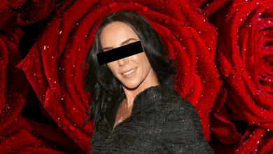 El misterio de Fundación FIGMA la organización altruista de Inés Gómez Mont que desapareció junto con la conductora