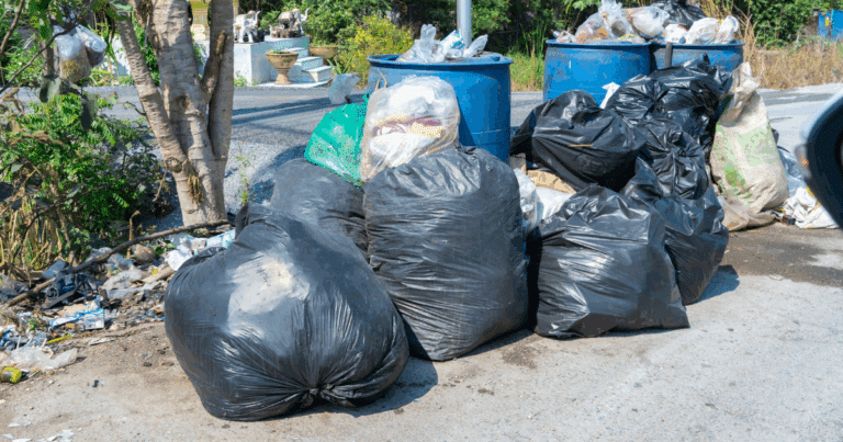 Escárcega enfrenta acumulación de basura por falla en recolección municipal