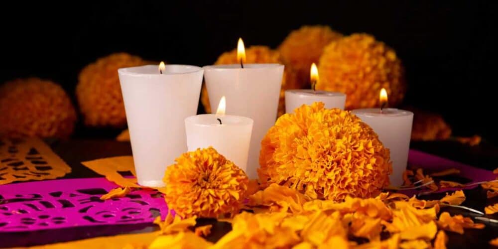 Flores para Día de Muertos registrarán alza de hasta 20 pesos en Carmen