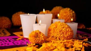 Flores para Día de Muertos registrarán alza de hasta 20 pesos en Carmen