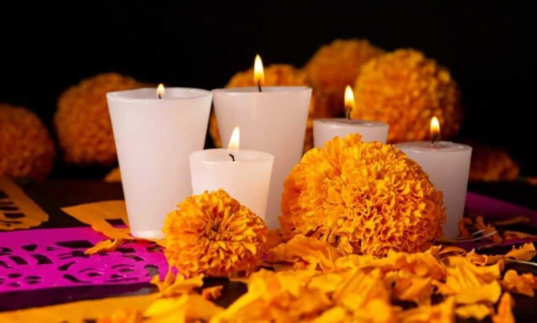 Flores para Día de Muertos registrarán alza de hasta 20 pesos en Carmen