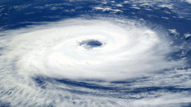 Huracán Priscilla se fortalece a categoría 2 y se aproxima a Cabo San Lucas