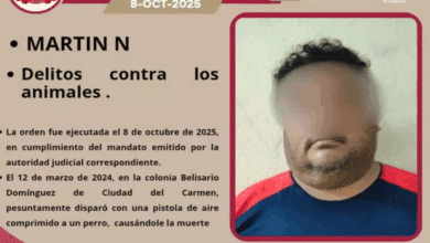 Justicia para 'Tobi', el perrito privado de la vida en Ciudad del Carmen