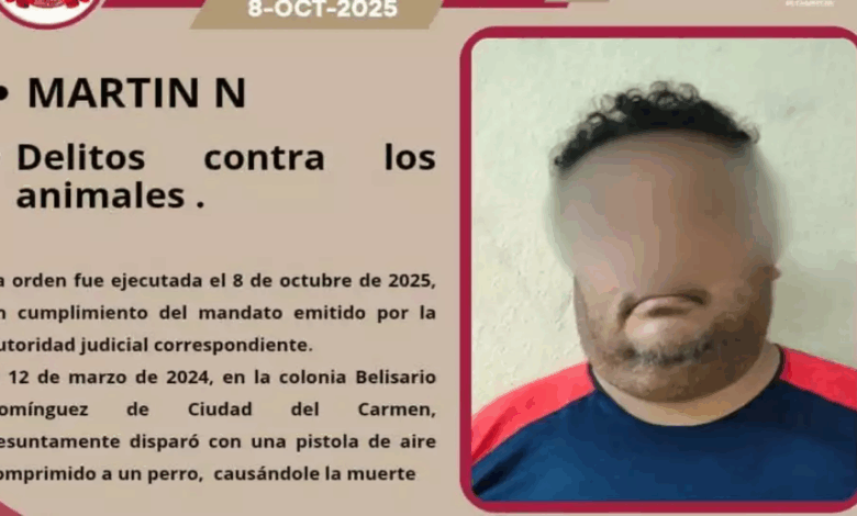Justicia para 'Tobi', el perrito privado de la vida en Ciudad del Carmen