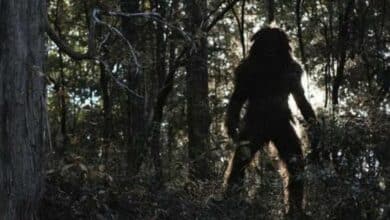 Leyenda de Juan del Monte Espíritu que espantó a dos viajeros en Campeche