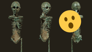 Los esqueletos fantasma el macabro obsequio de los banquetes romanos que recordaba la muerte 1