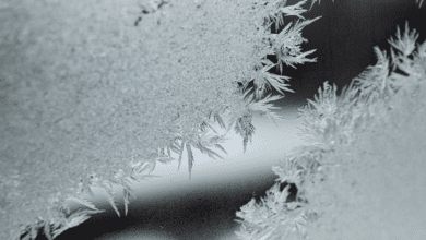 Impacto del Frente Frío Número 11 traerá lluvias y descenso de temperatura a Campeche